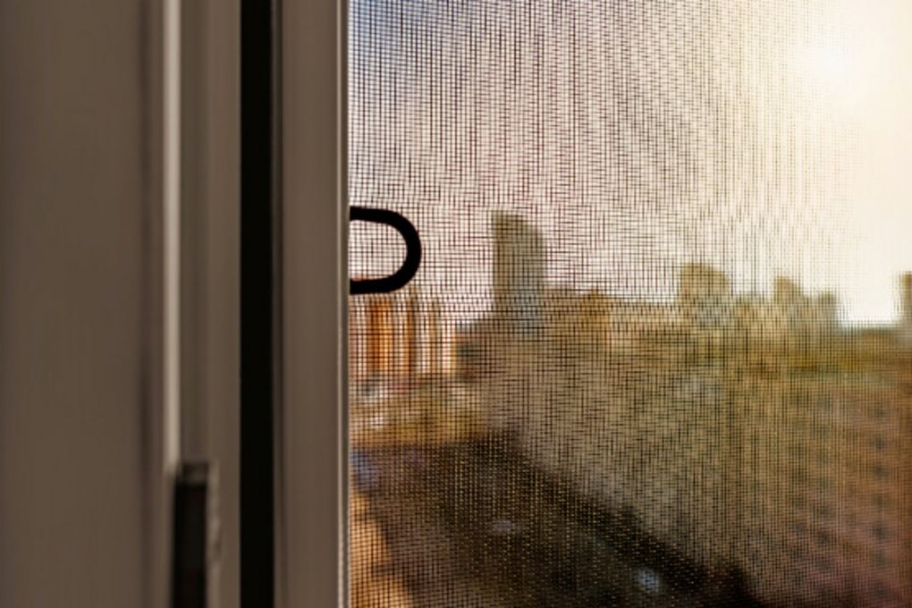 Roller shutters with insect protection