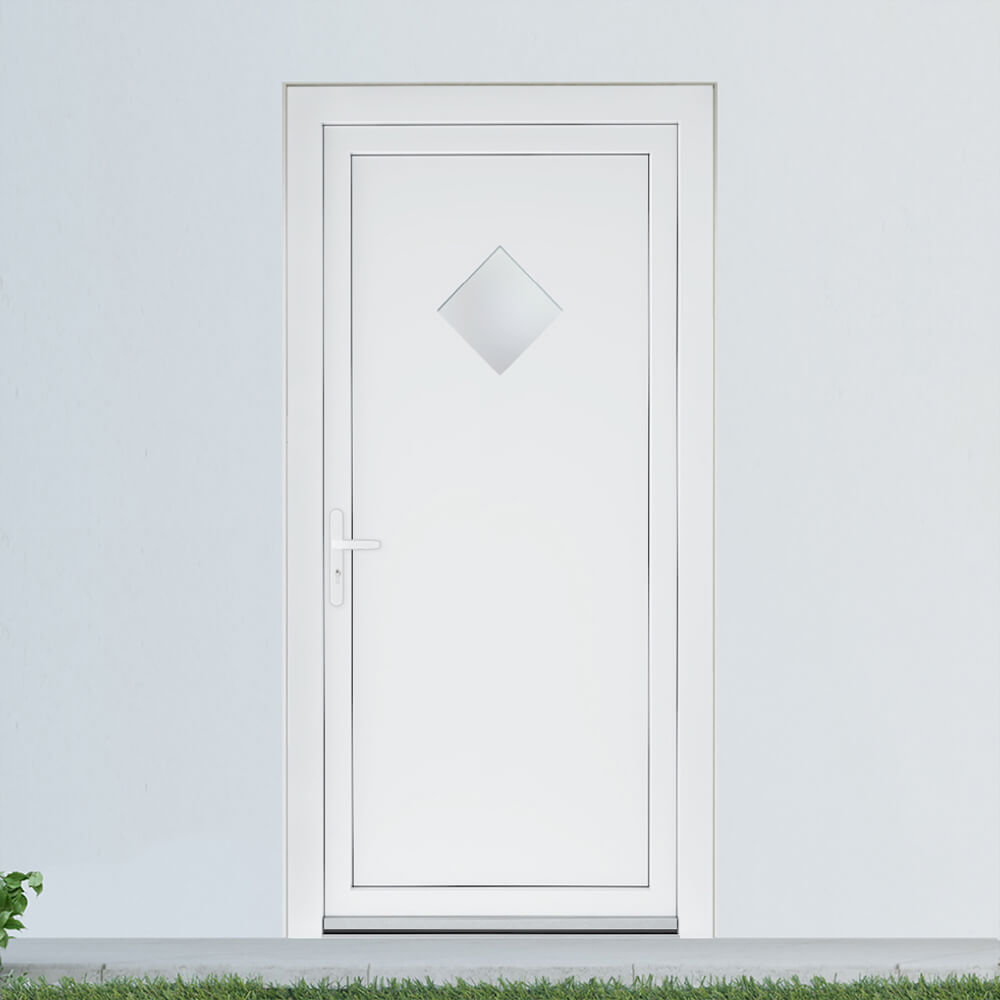 Installed Brighton back door