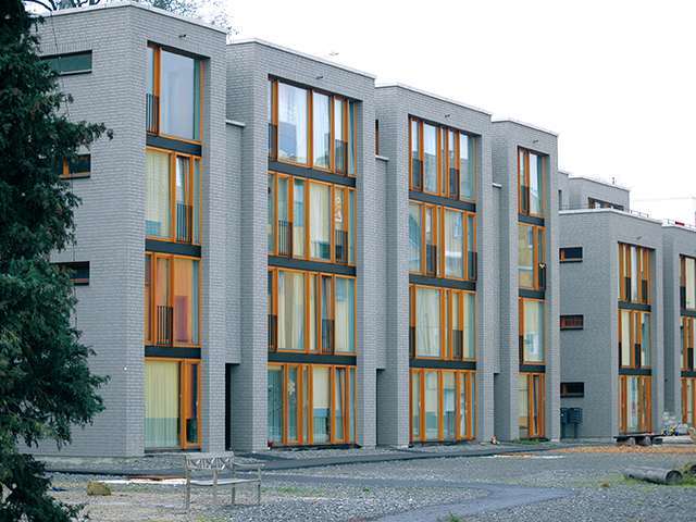 Nestwerk