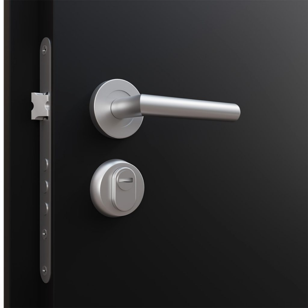 Back door door handle