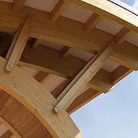 Canopy wood detailed view