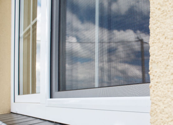 Window with fly screen