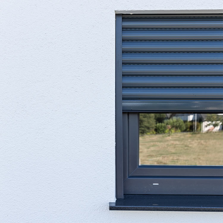 Roller shutter with window