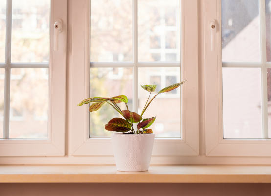 Window sill finishes