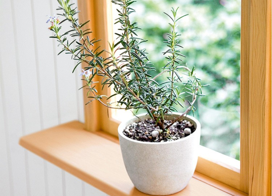 Werzalit interior window sill