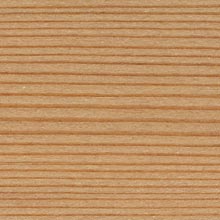 Larch