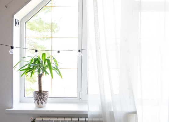 Trapezoid bathroom windows