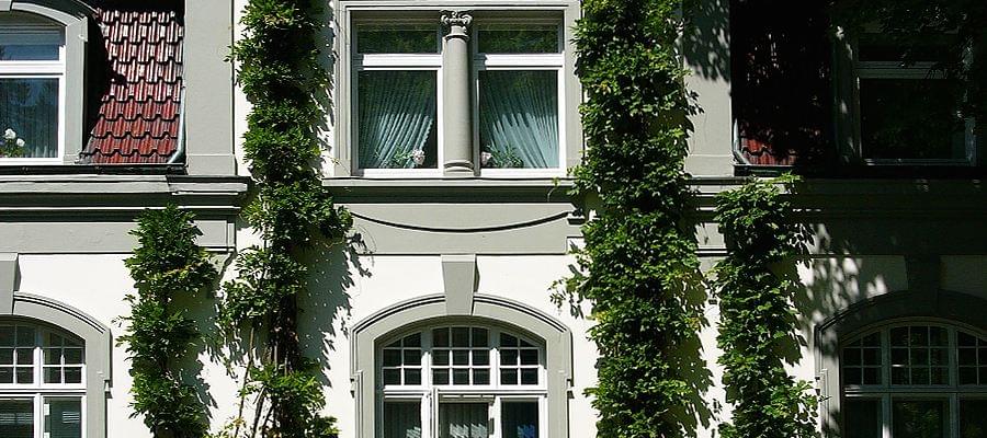 Single-glazed fanlights