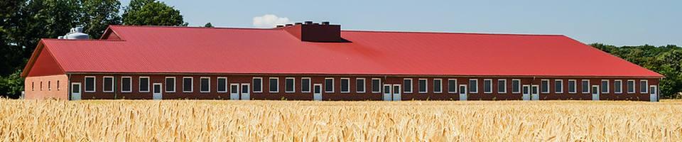 Vinyl barn windows