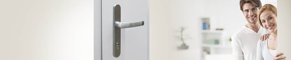 Front door inside push handle