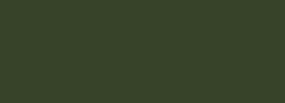 RAL 6003 Olive green