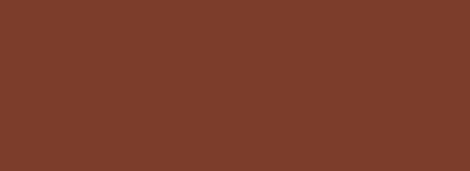 RAL 8024 Beige brown