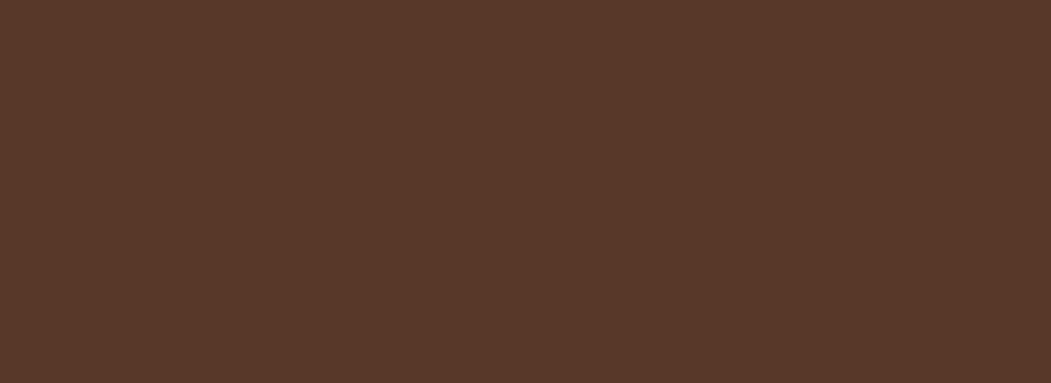 RAL 8025 Pale brown